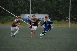 vvileidsvЖg2012 004